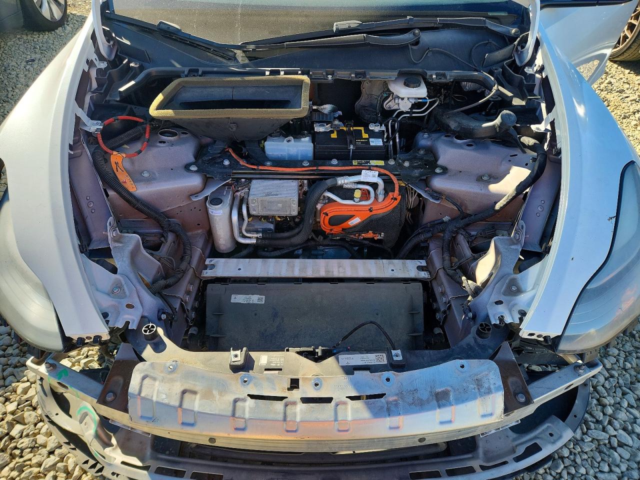 2021 TESLA MODEL Y photo 23