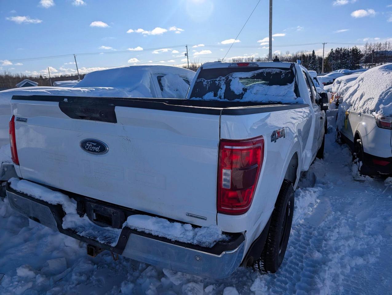 2023 FORD F150 SUPER CAB photo 3