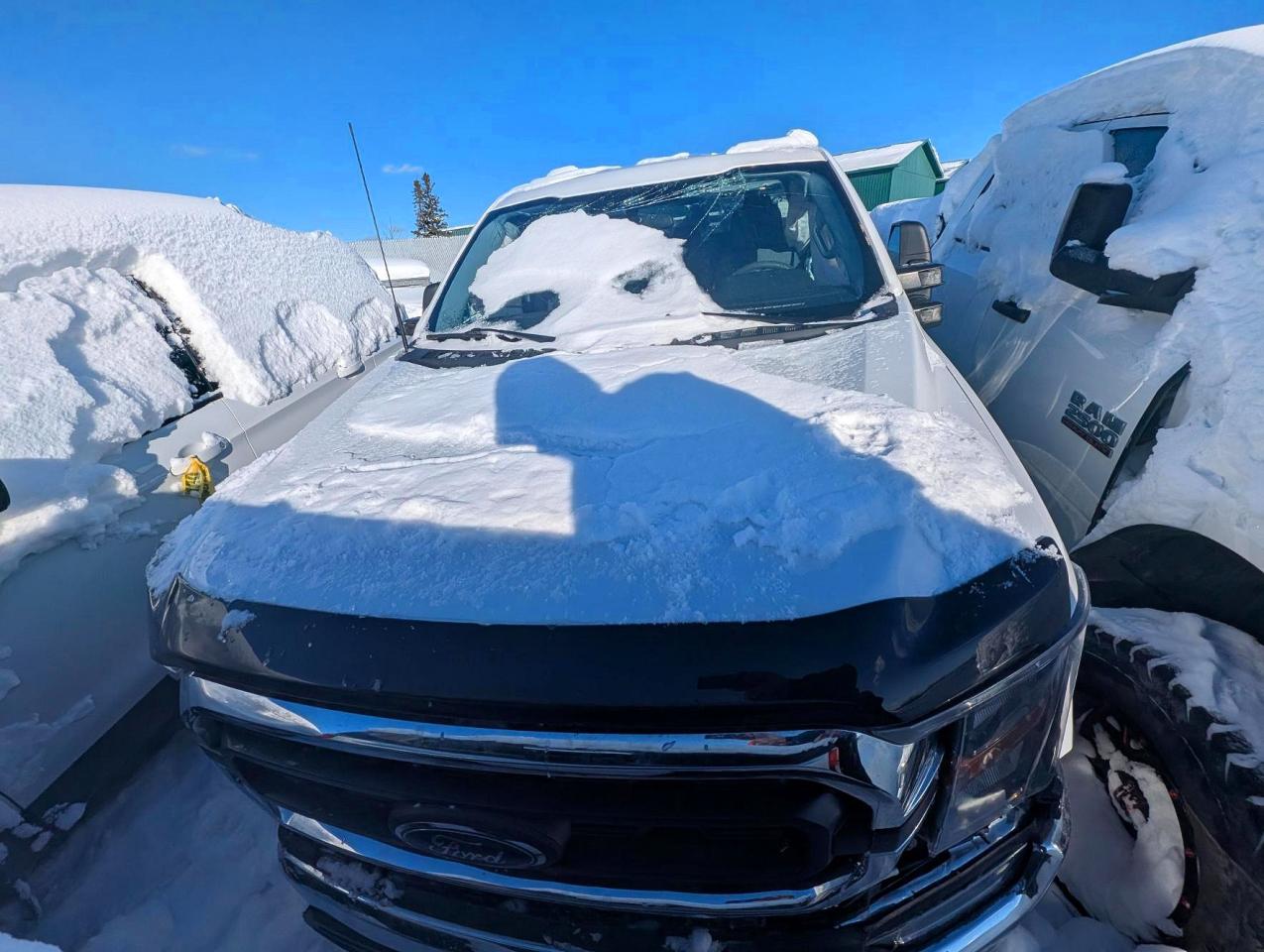 2023 FORD F150 SUPER CAB photo 5