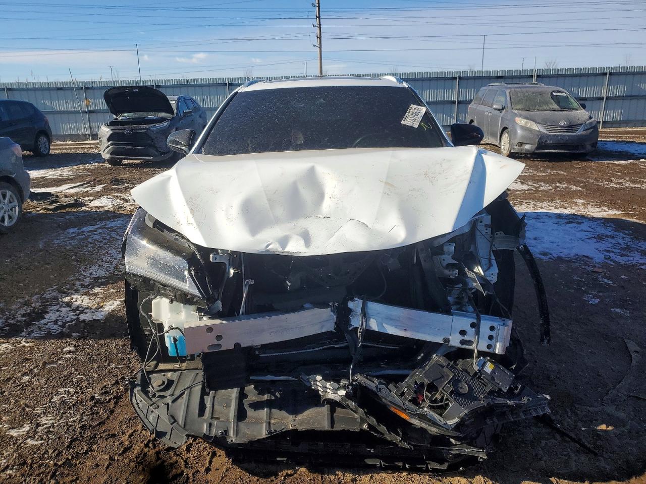 2019 LEXUS RX photo 5