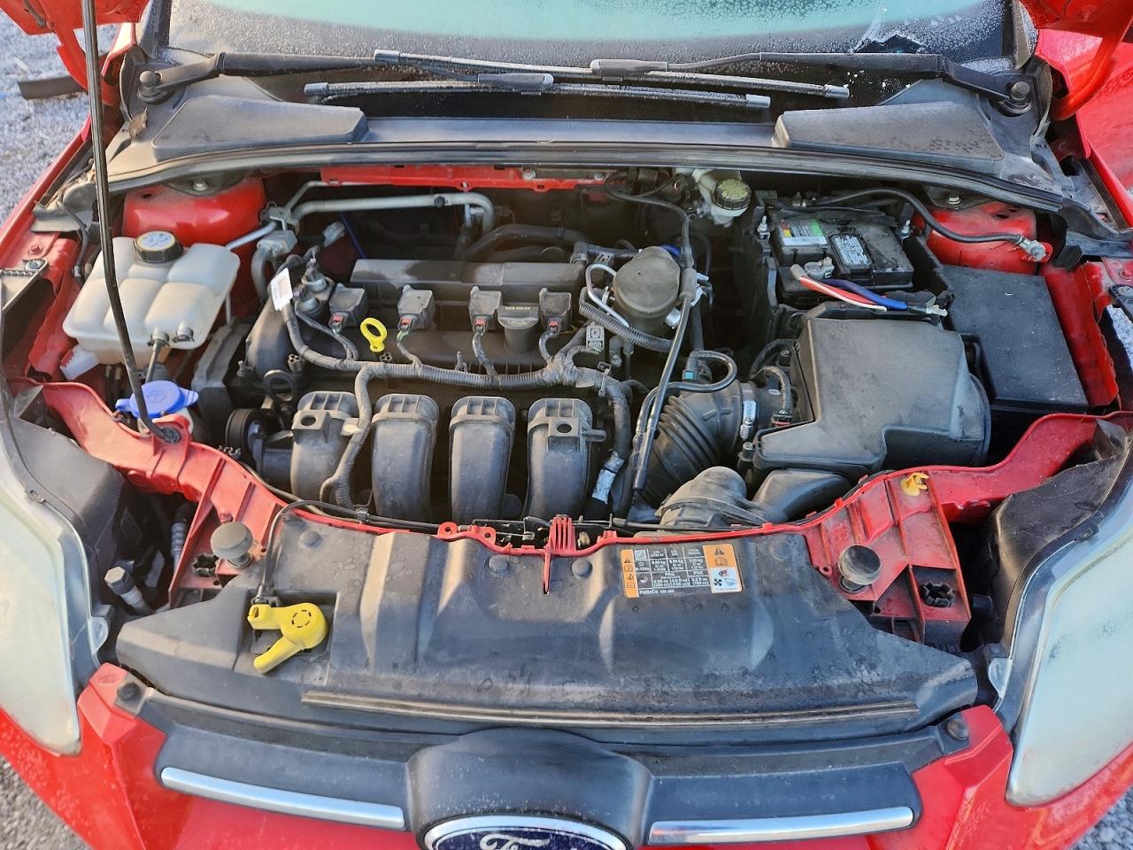 2014 FORD FOCUS SE photo 11