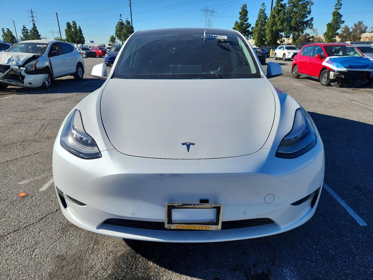 2021 TESLA MODEL Y photo 5