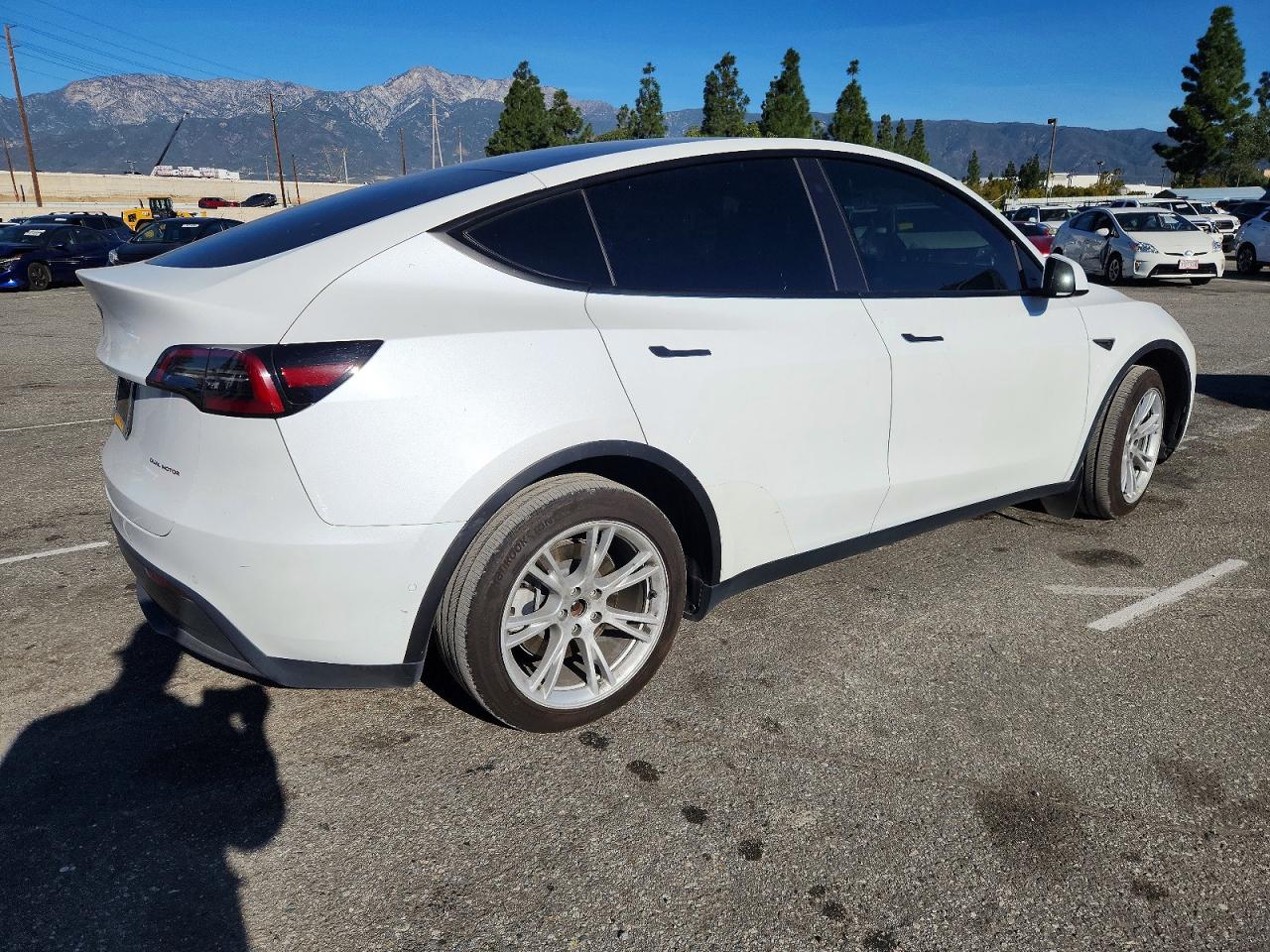 2021 TESLA MODEL Y photo 3