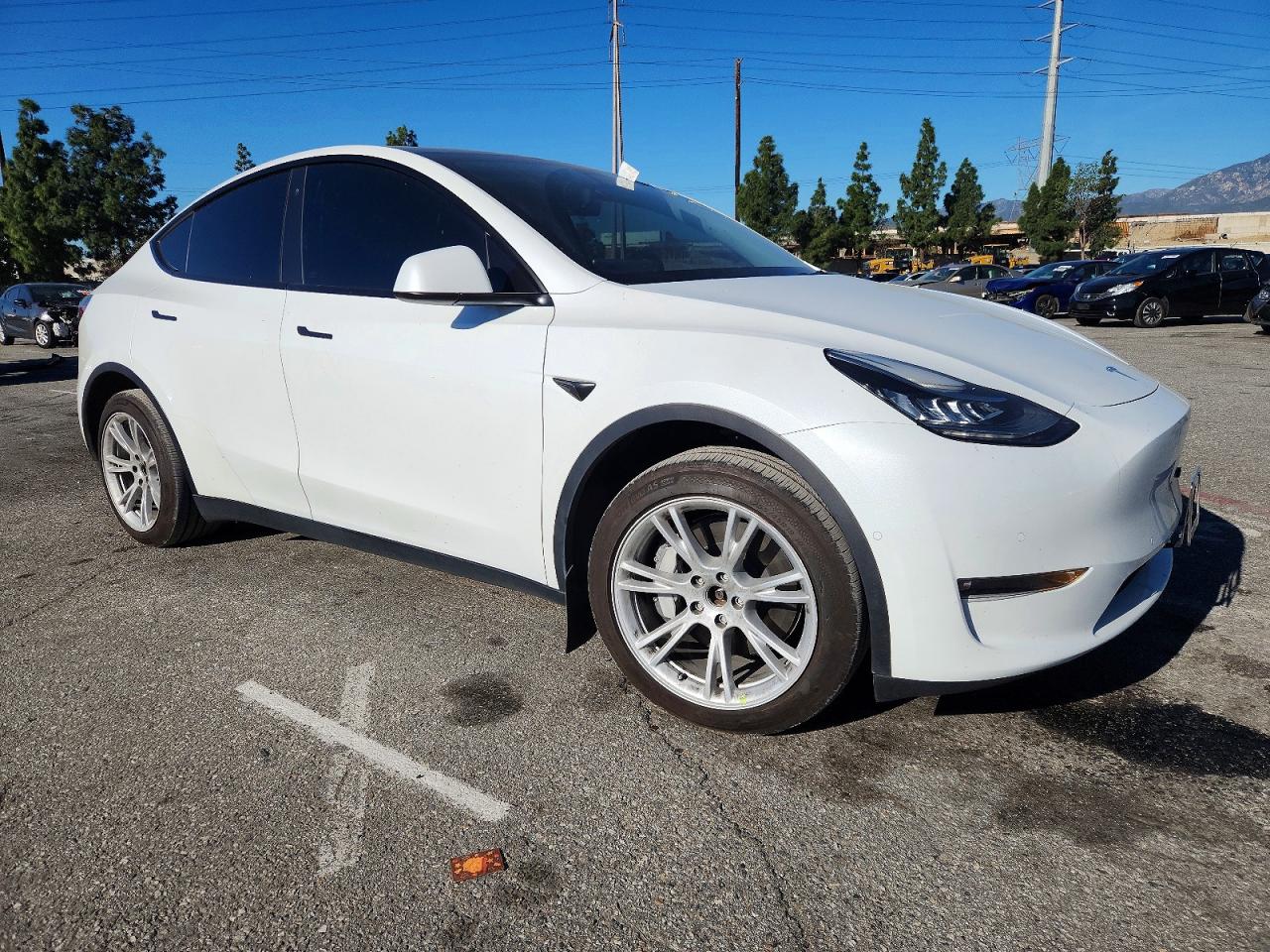 2021 TESLA MODEL Y photo 4