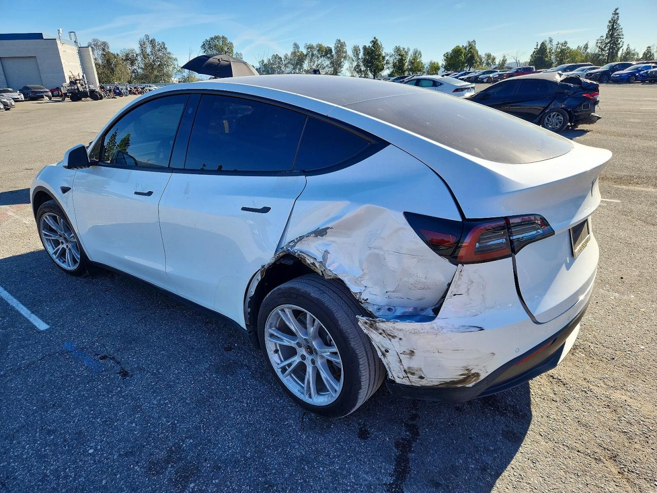 2021 TESLA MODEL Y photo 2