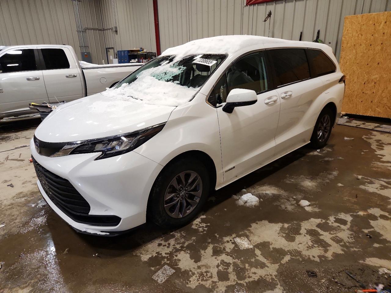 2021 TOYOTA SIENNA