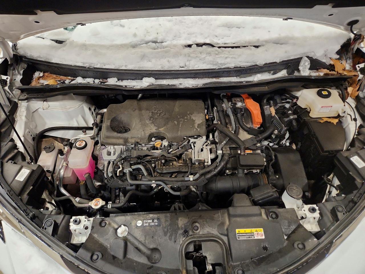 2021 TOYOTA SIENNA LE photo 12