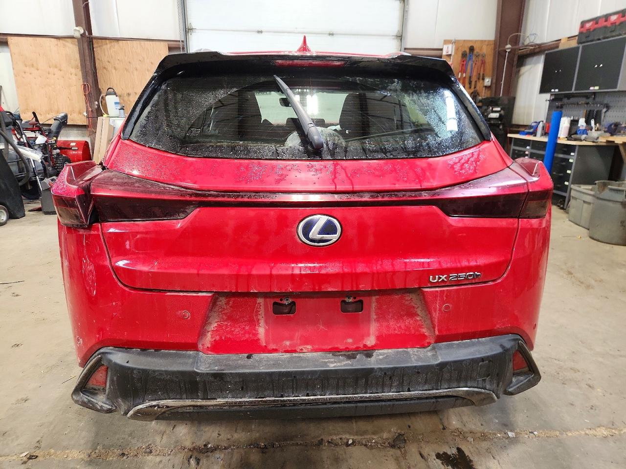 2022 LEXUS UX 250H BASE photo 6
