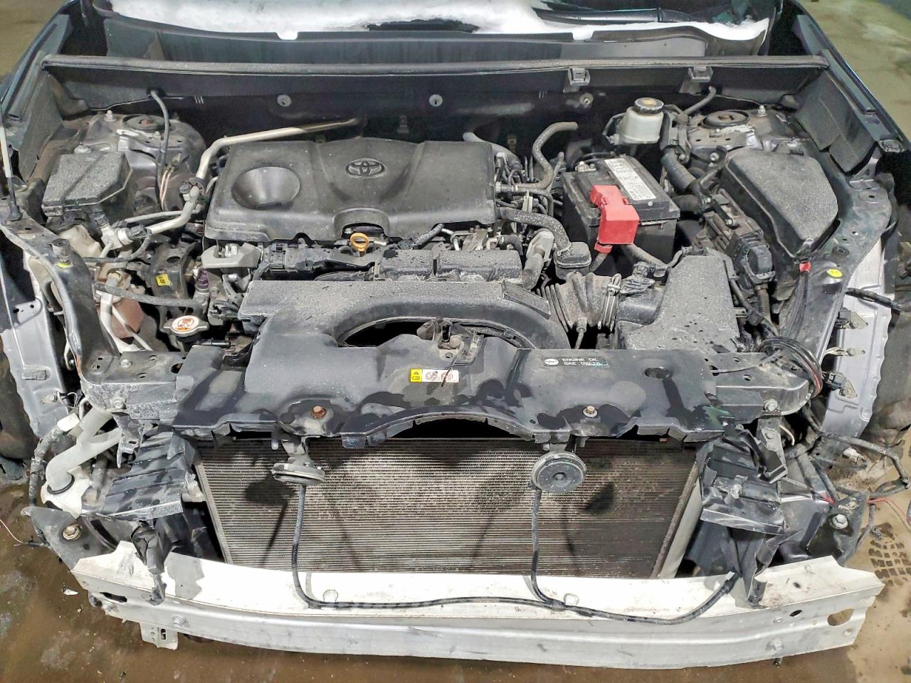2019 TOYOTA RAV4 LE photo 12