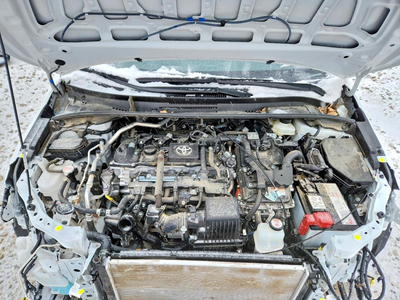 2025 TOYOTA COROLLA LE photo 11