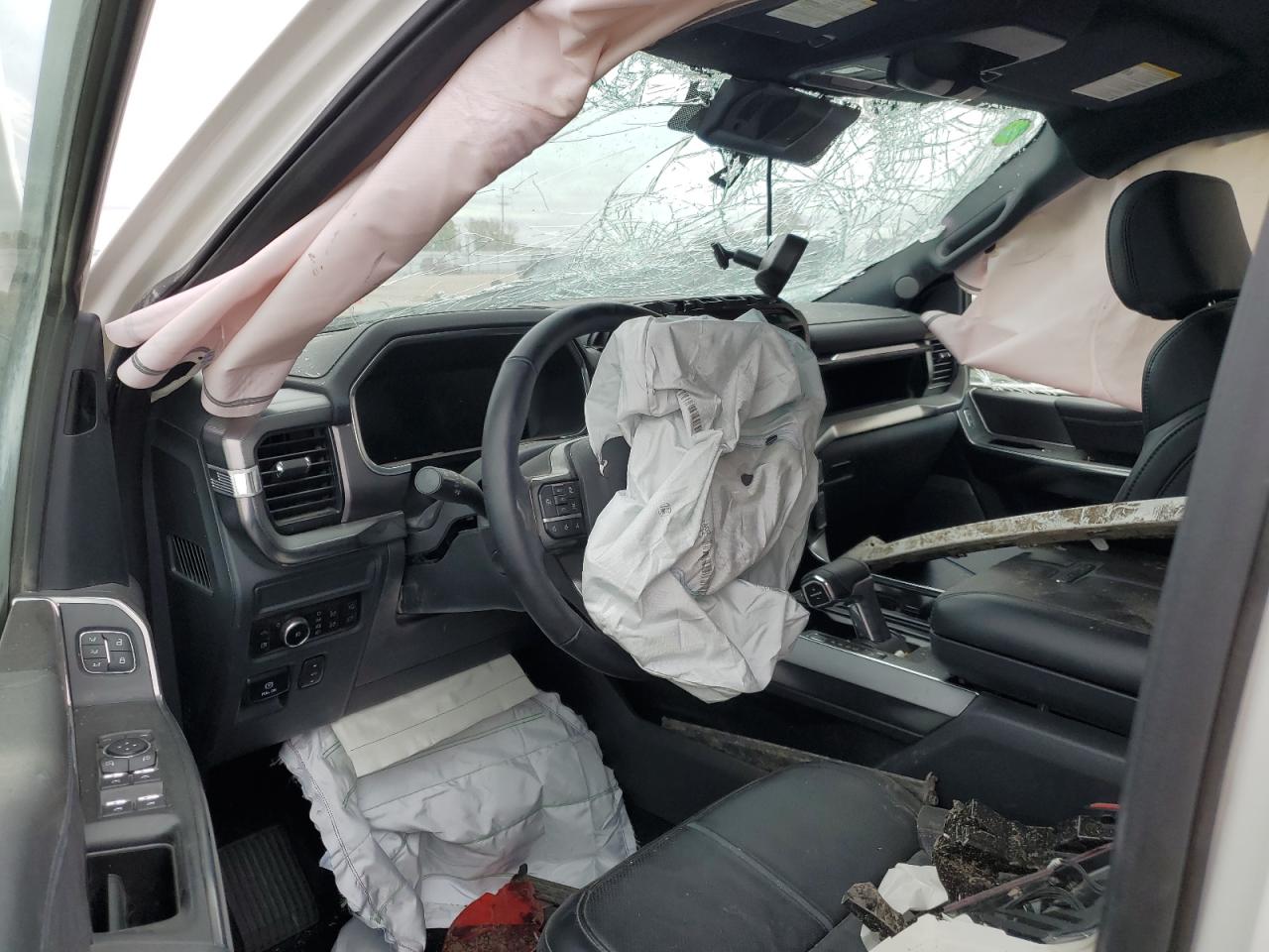 2025 FORD F150 PLATINUM photo 8