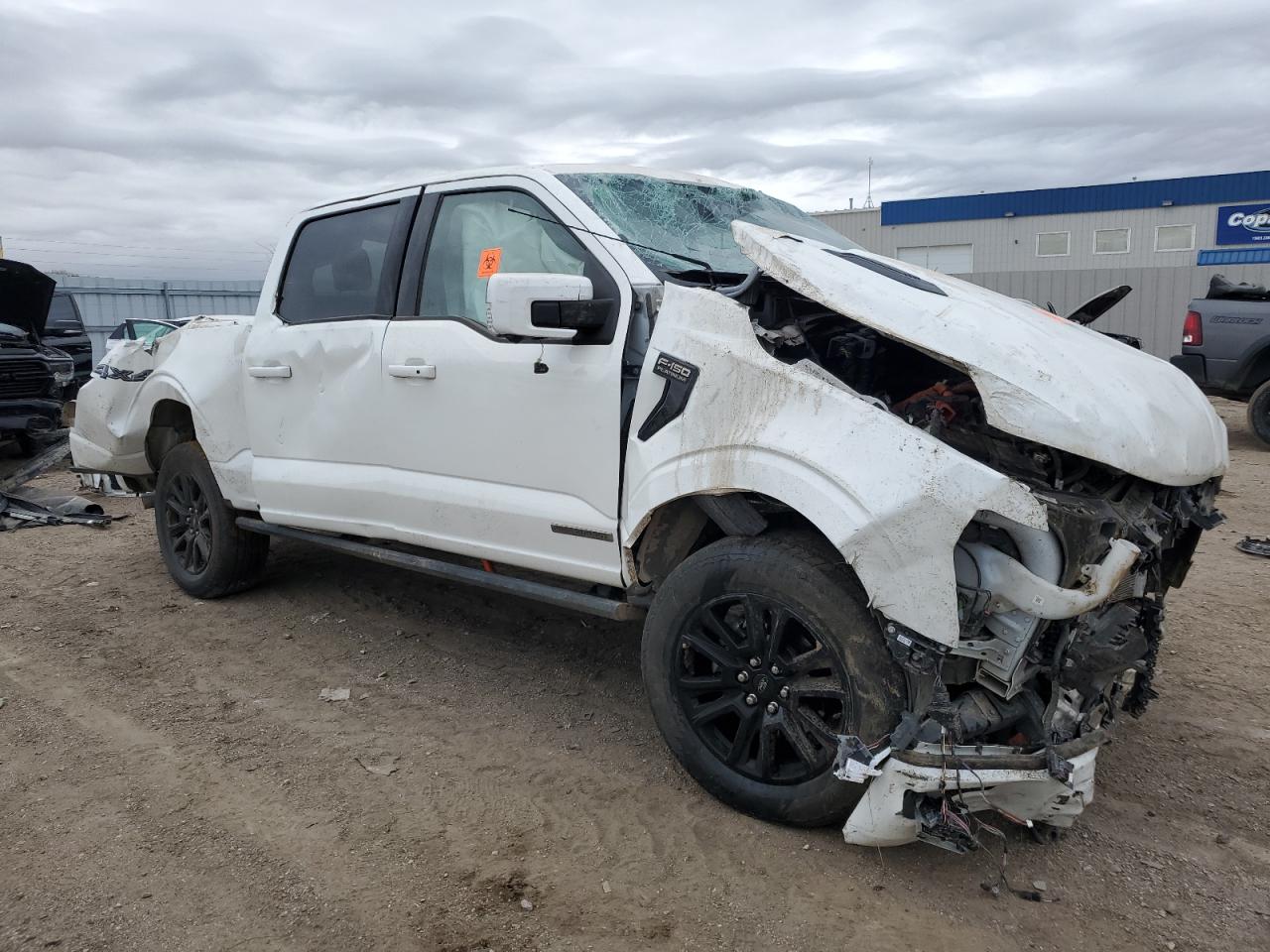 2025 FORD F150 PLATINUM photo 4