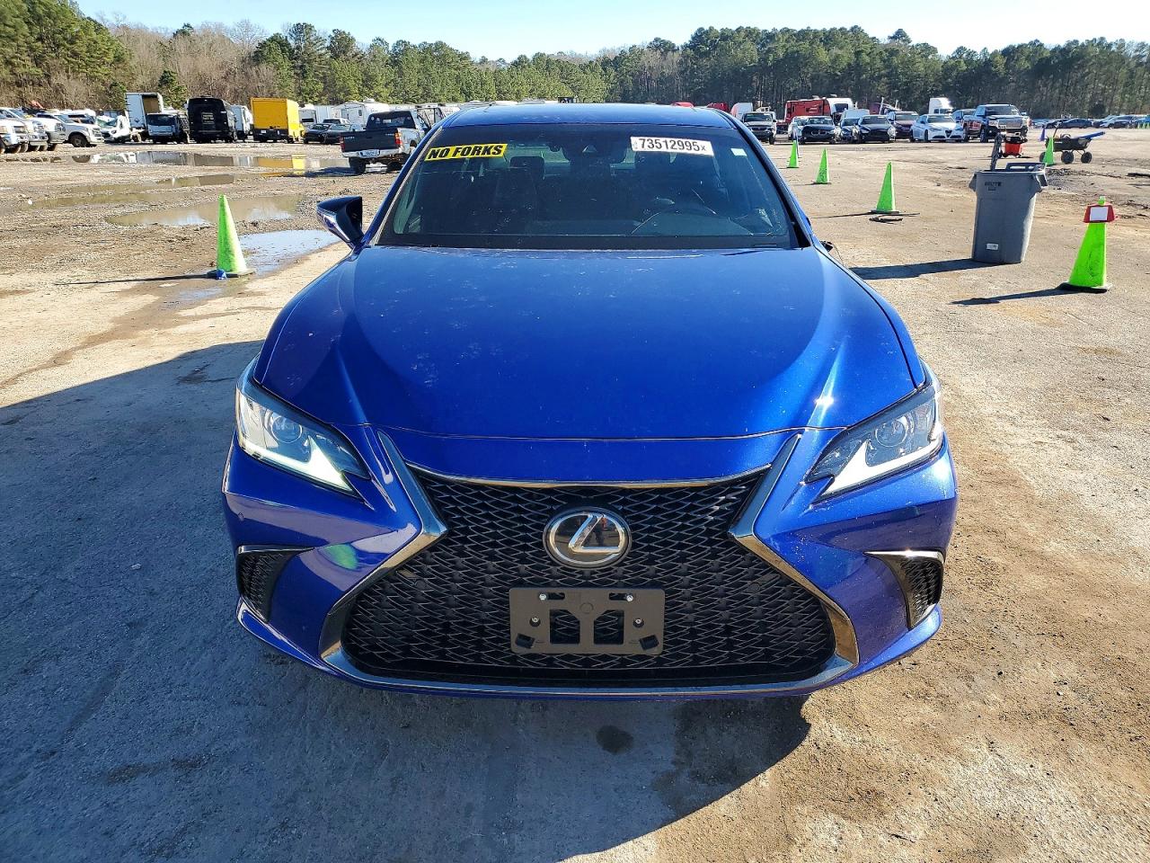 2019 LEXUS ES 350 photo 13