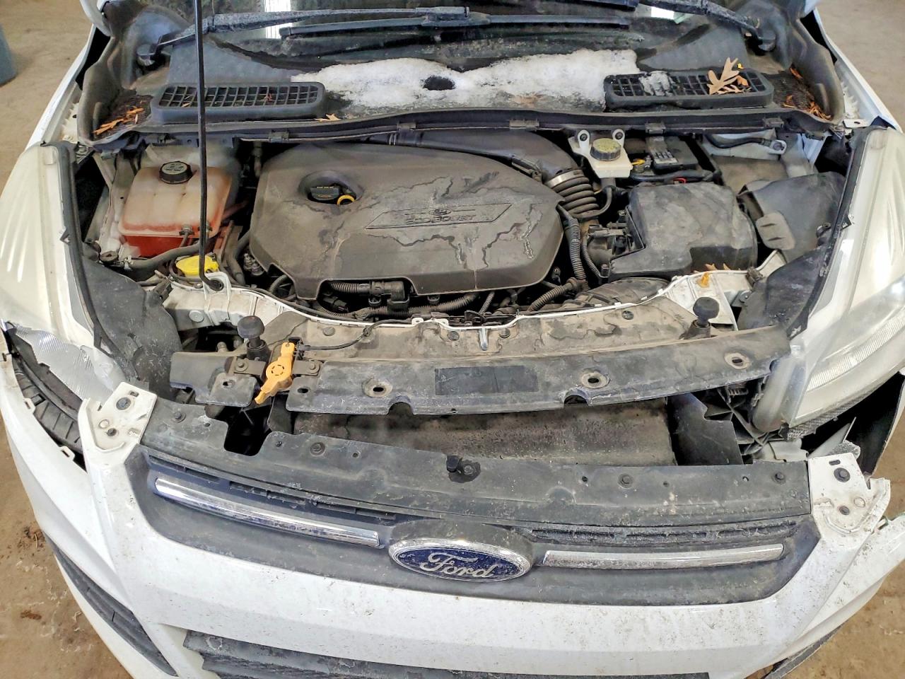 2013 FORD ESCAPE SE photo 12