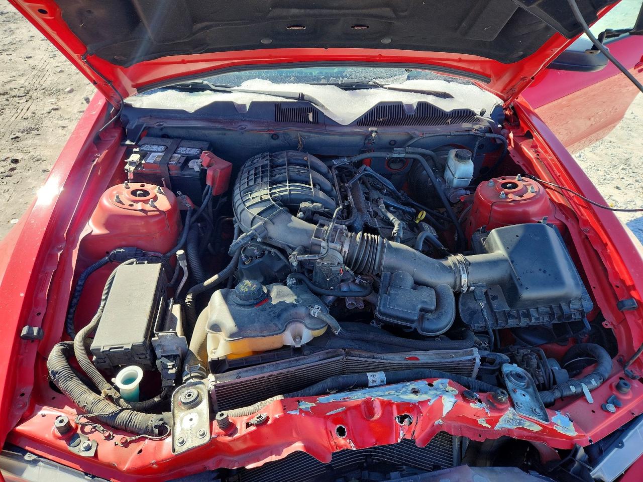 2014 FORD MUSTANG photo 11