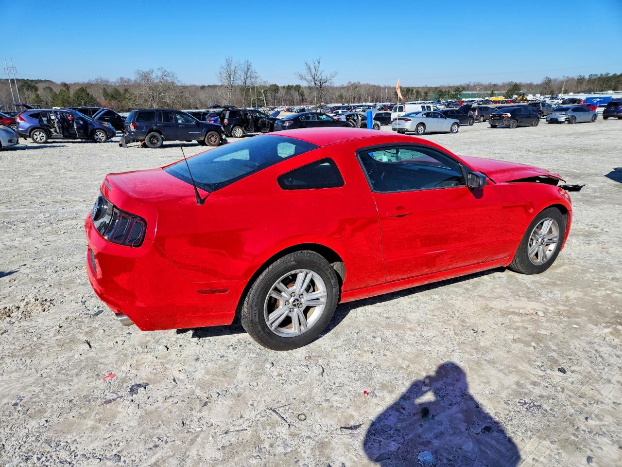 2014 FORD MUSTANG photo 3
