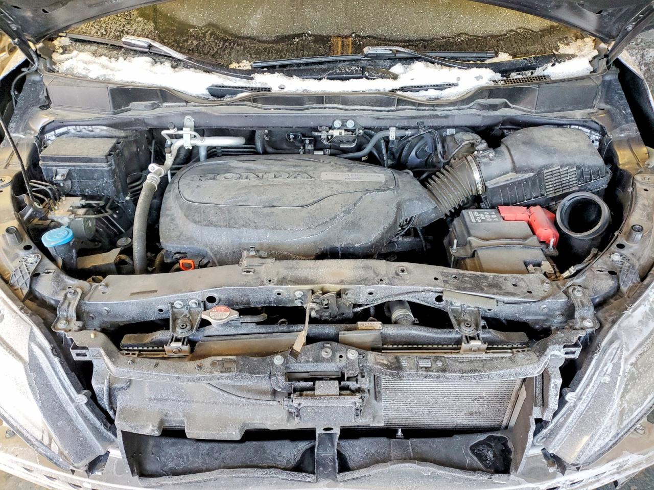 2019 HONDA ODYSSEY ELITE photo 12