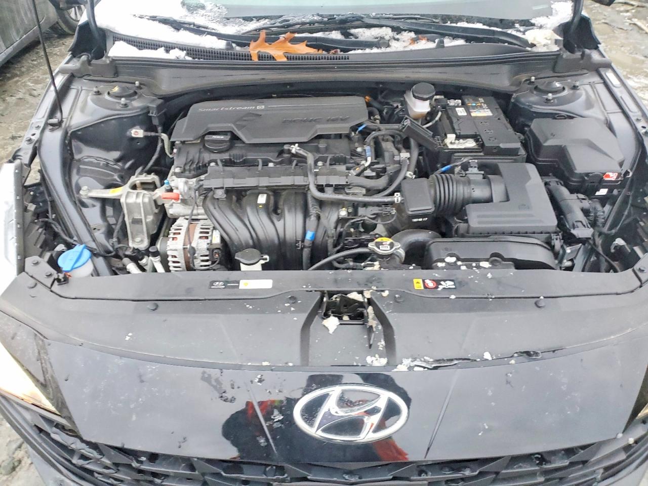 2023 HYUNDAI ELANTRA photo 11