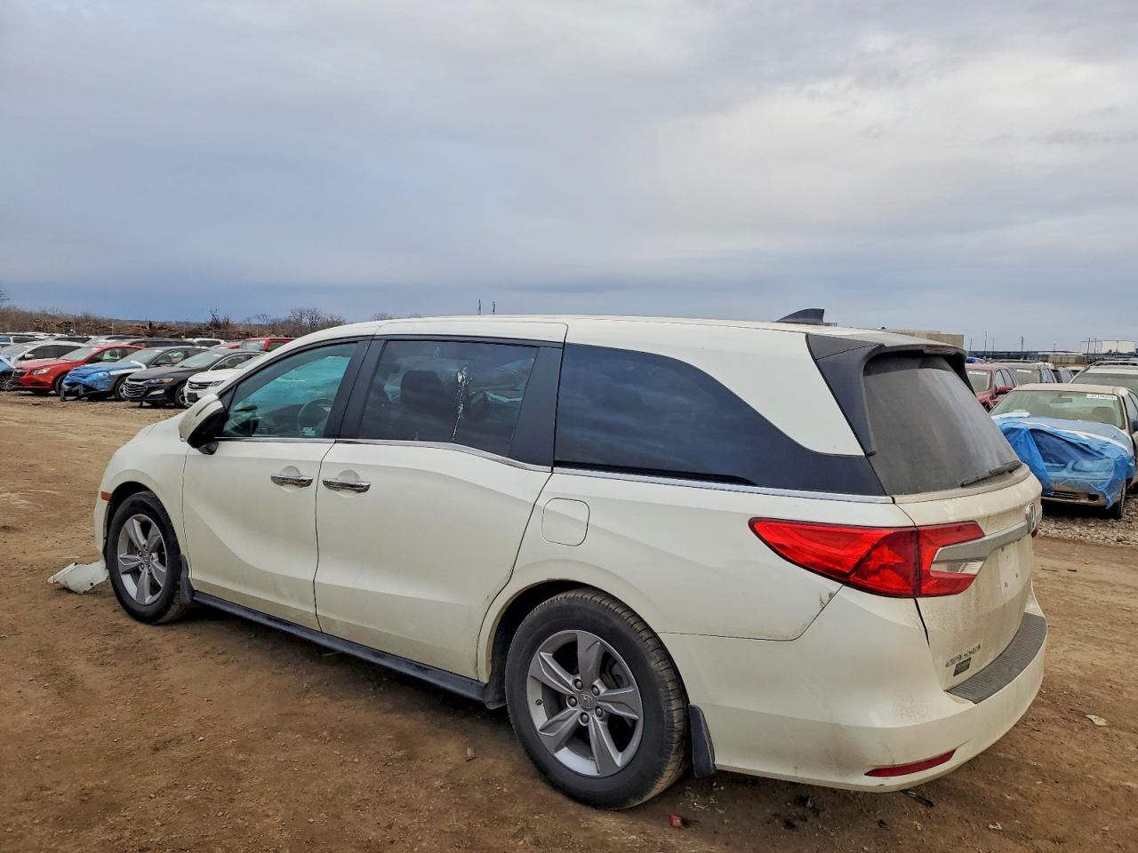 2019 HONDA ODYSSEY EXL photo 3