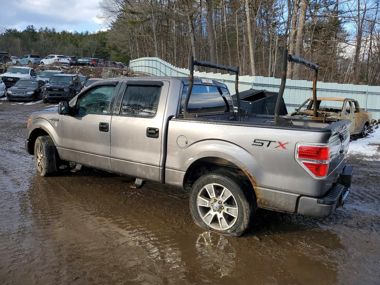 2014 FORD F150 SUPERCREW photo 4