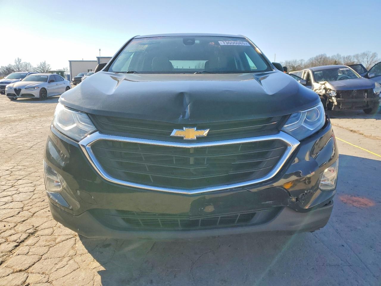 2020 CHEVROLET EQUINOX LS photo 13