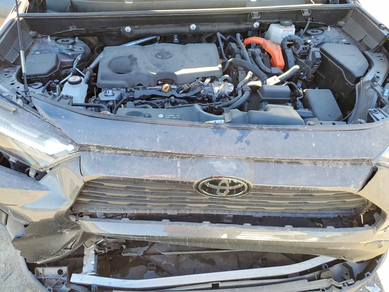 2025 TOYOTA RAV4 XLE photo 34