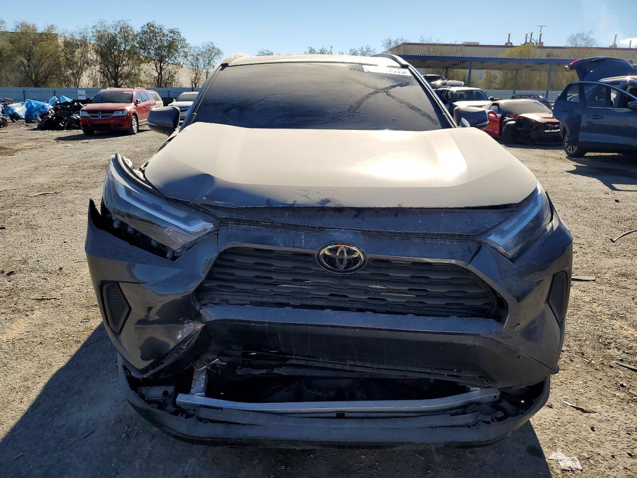 2025 TOYOTA RAV4 XLE photo 13