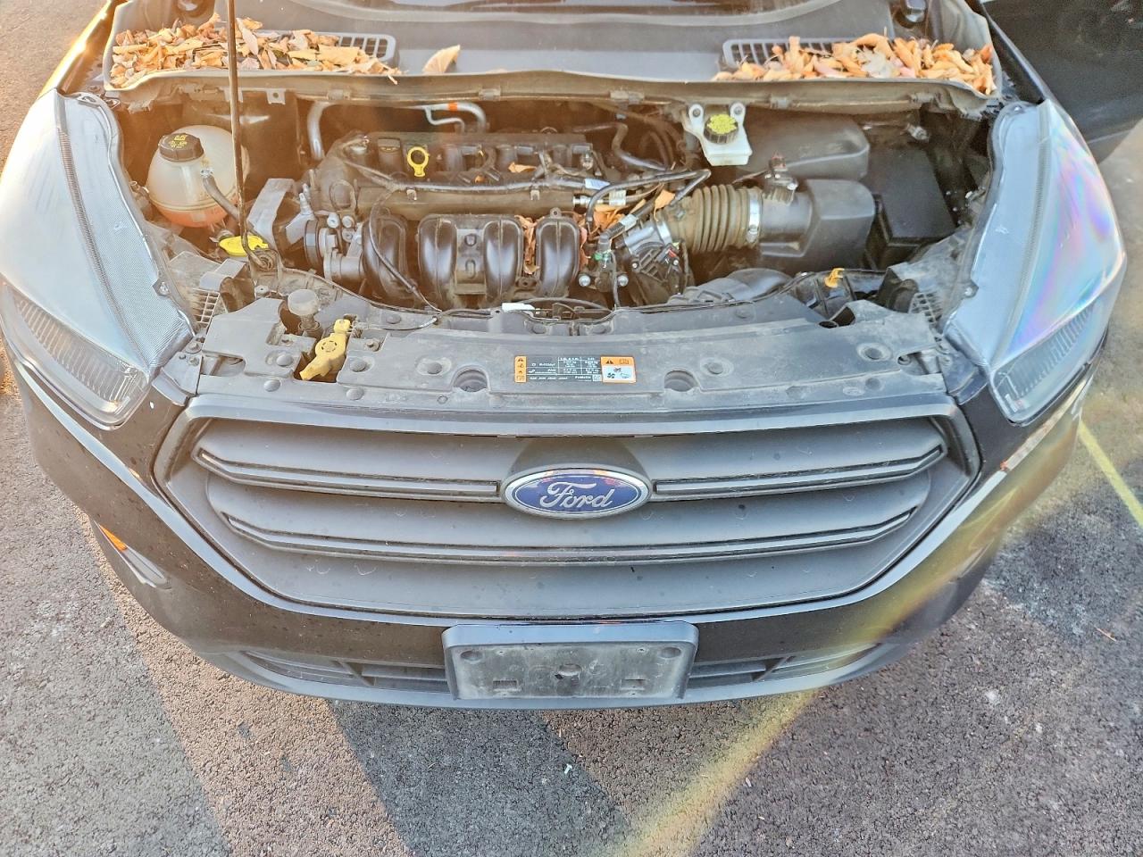 2019 FORD ESCAPE S photo 21