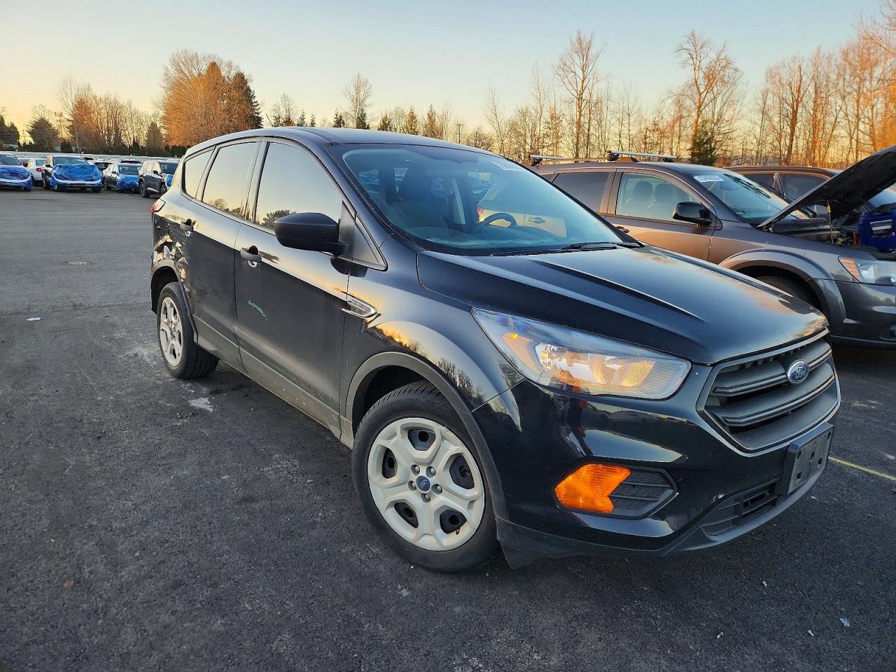 2019 FORD ESCAPE S photo 7