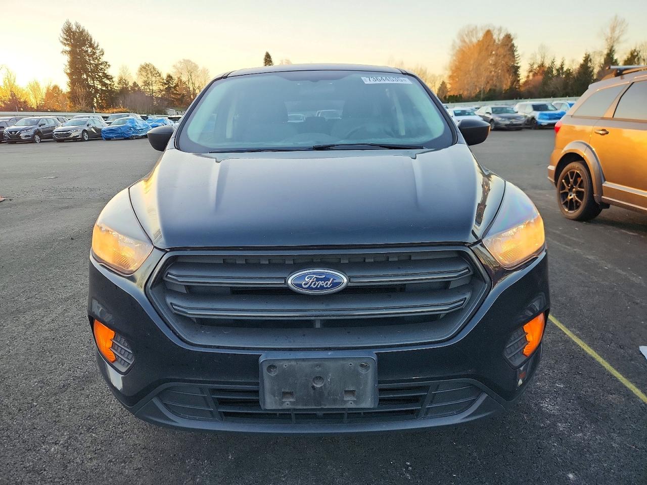2019 FORD ESCAPE S photo 9
