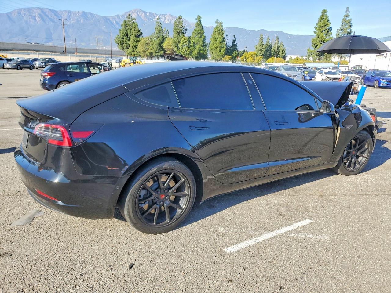 2022 TESLA MODEL 3 photo 5