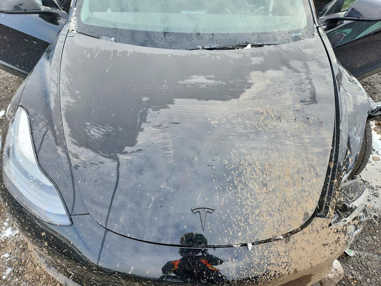 2022 TESLA MODEL 3 photo 21