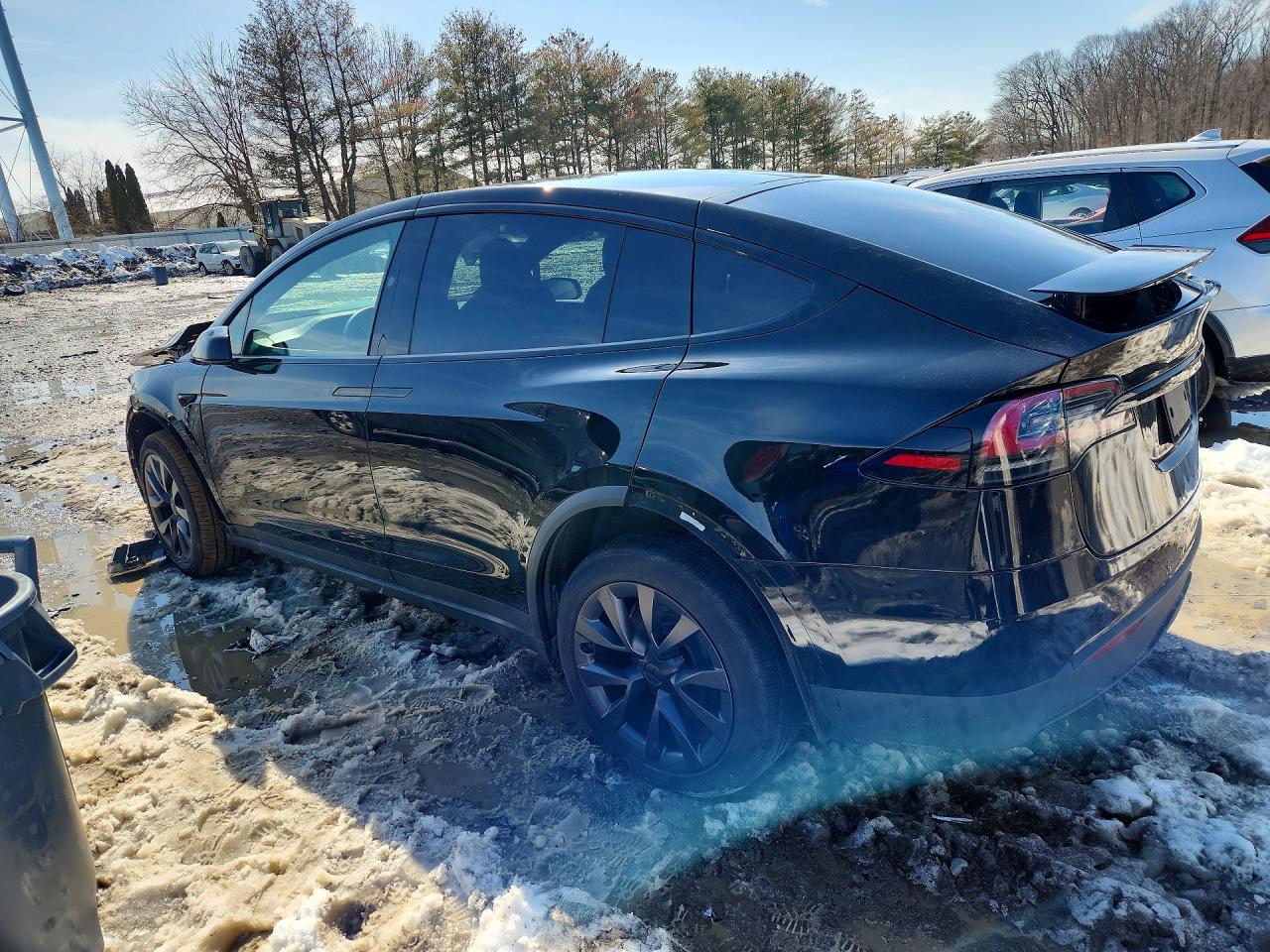 2024 TESLA MODEL X photo 2