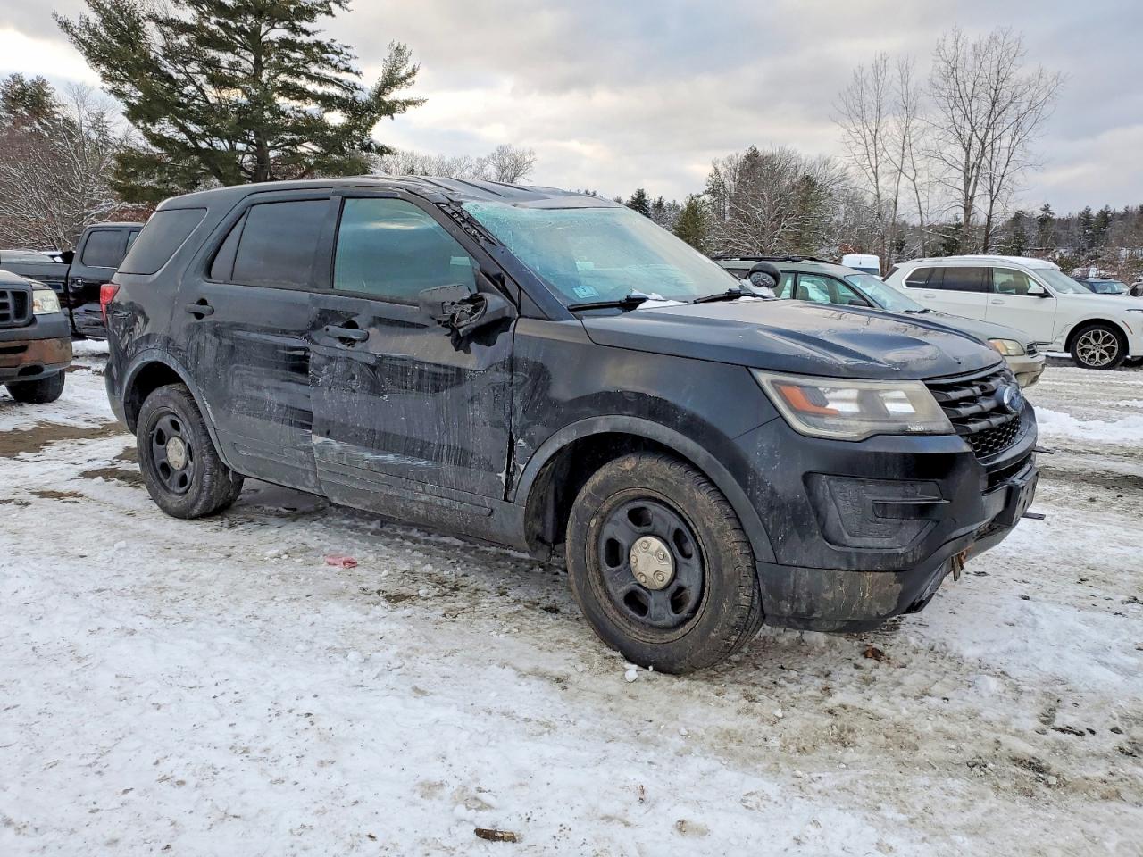 2017 FORD EXPLORER POLICE INTERCEPTOR photo 10