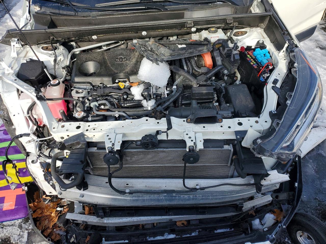 2019 TOYOTA RAV4 LIMITED photo 12