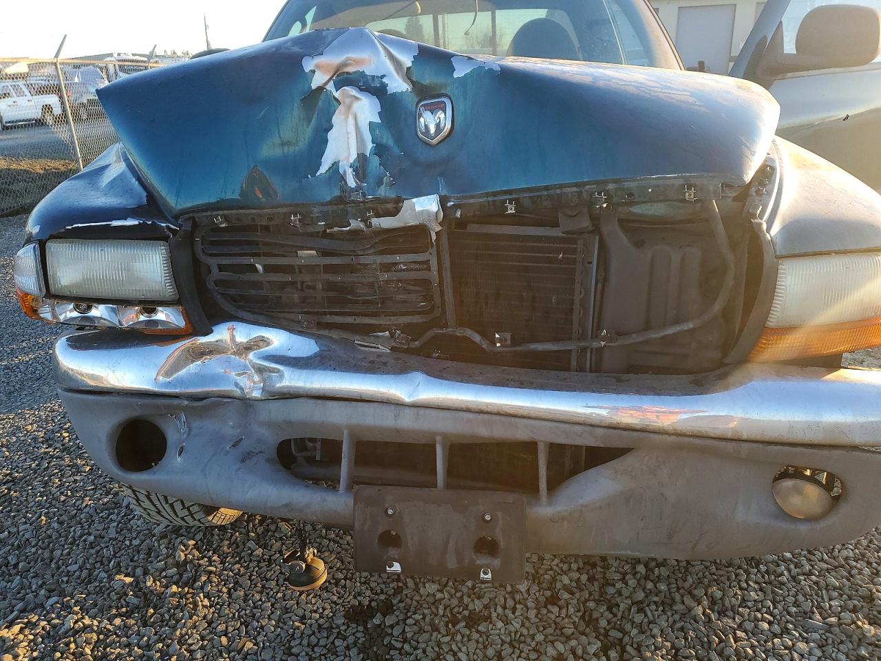 1999 DODGE DAKOTA photo 11