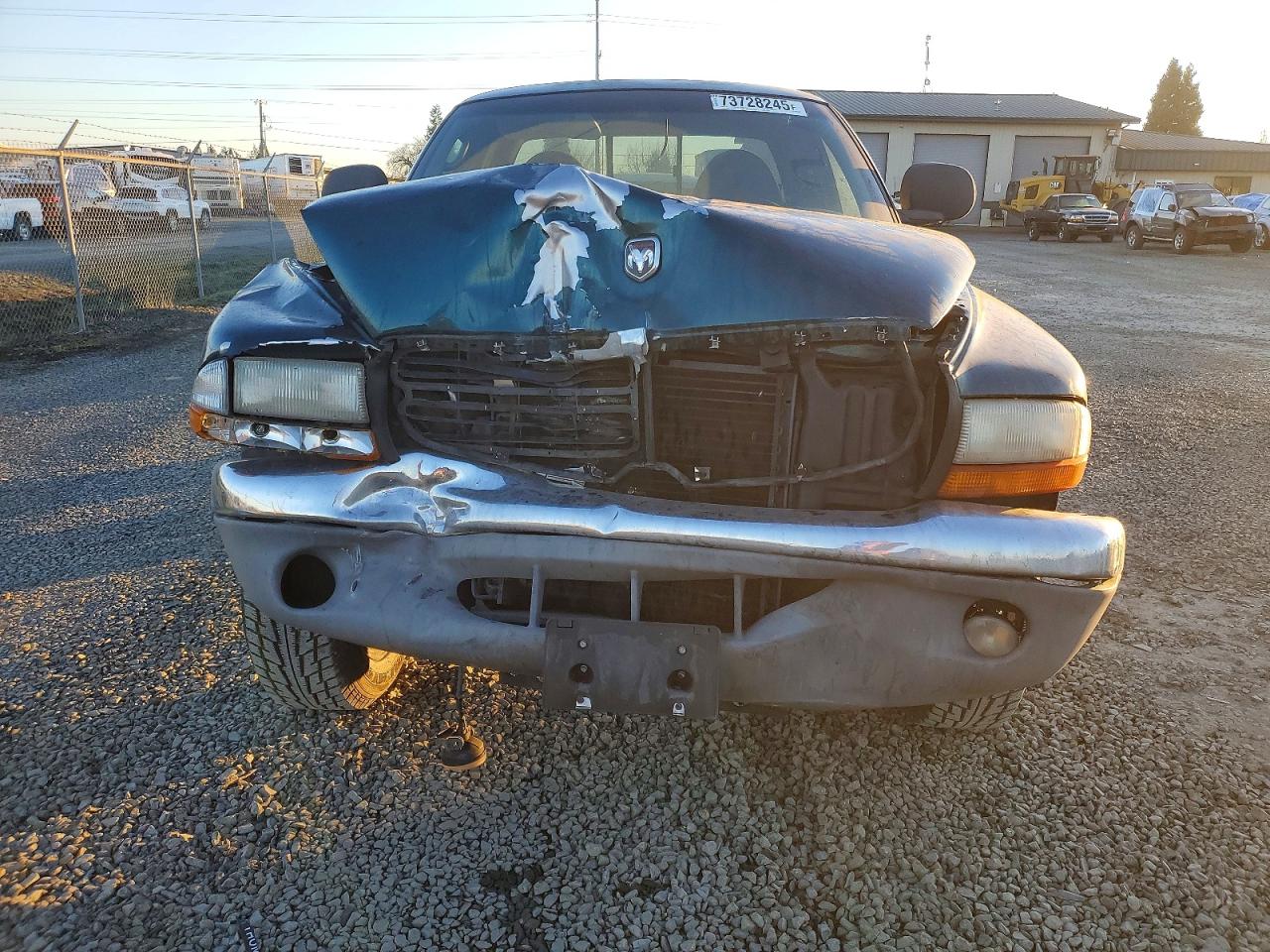 1999 DODGE DAKOTA photo 5
