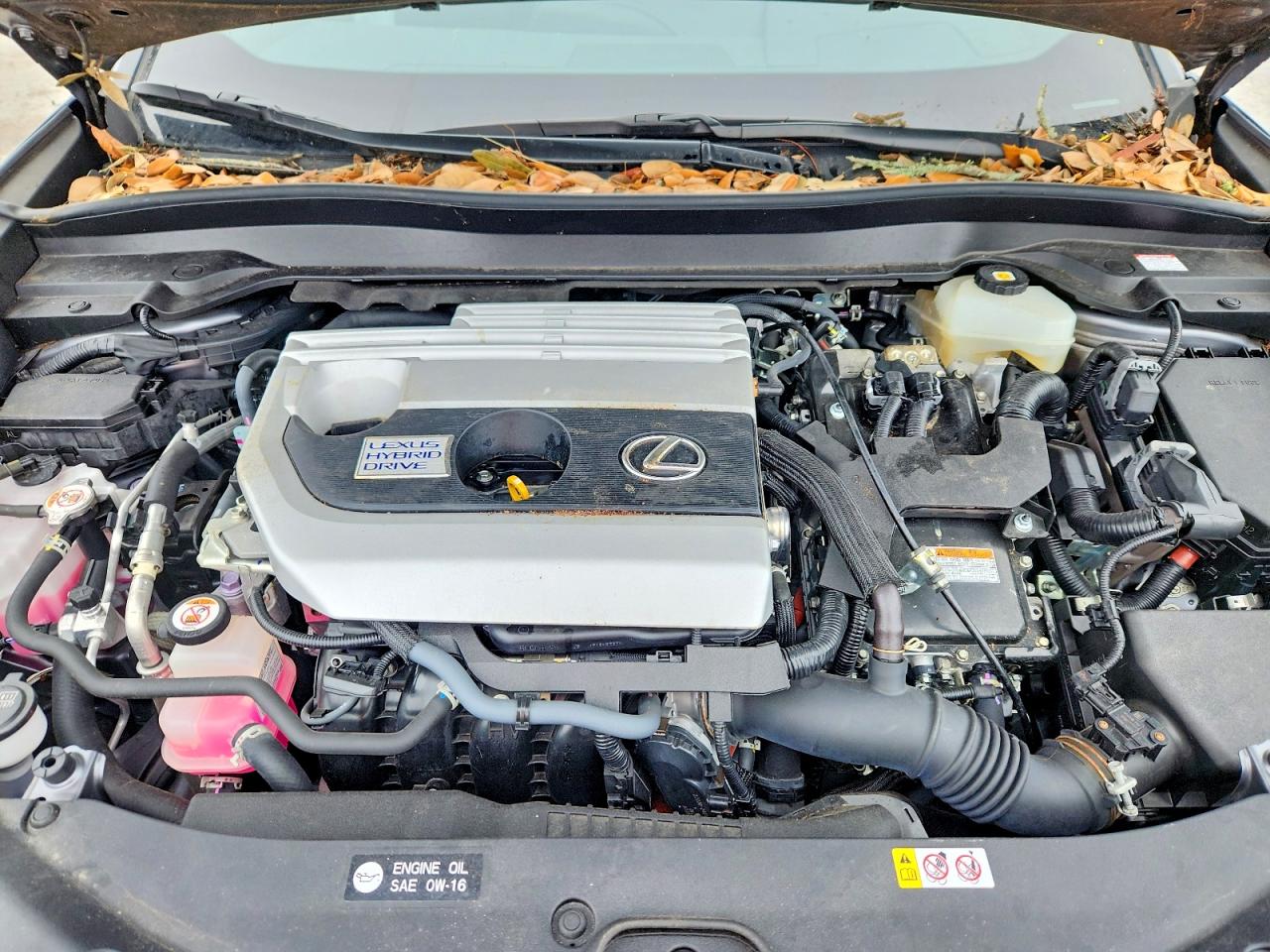 2021 LEXUS UX 250H photo 12