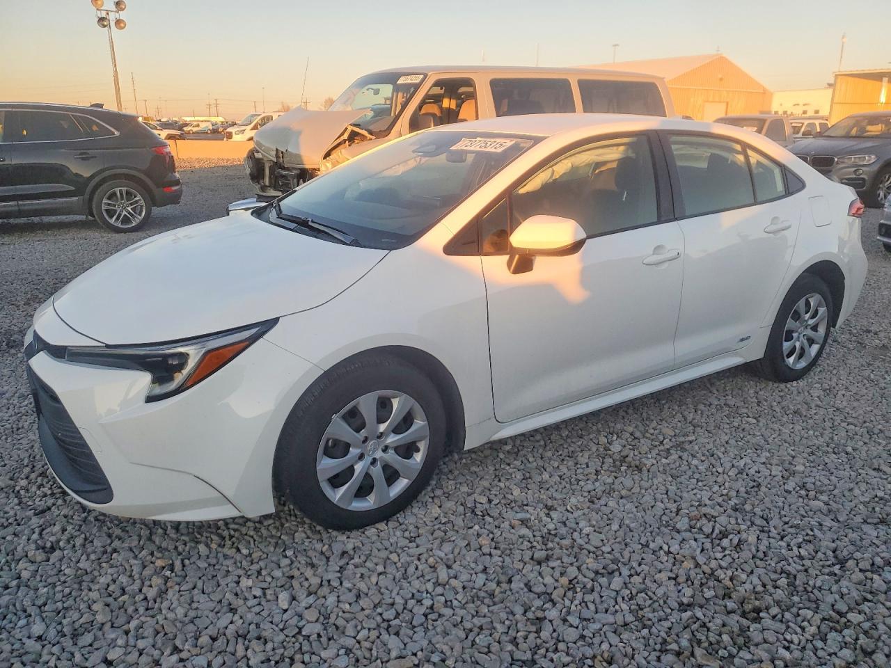2025 TOYOTA COROLLA