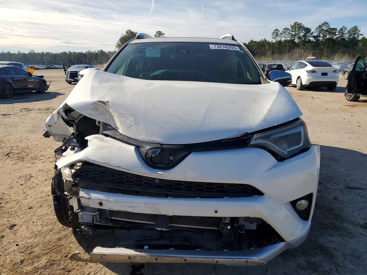 2016 TOYOTA RAV4 SE photo 13