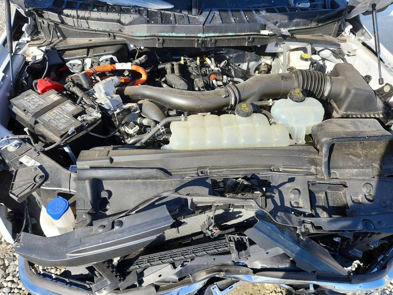 2025 FORD F150 XL UTILITY / SERVICE TRUCK photo 11