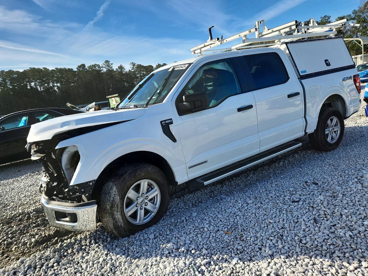 2025 FORD F150