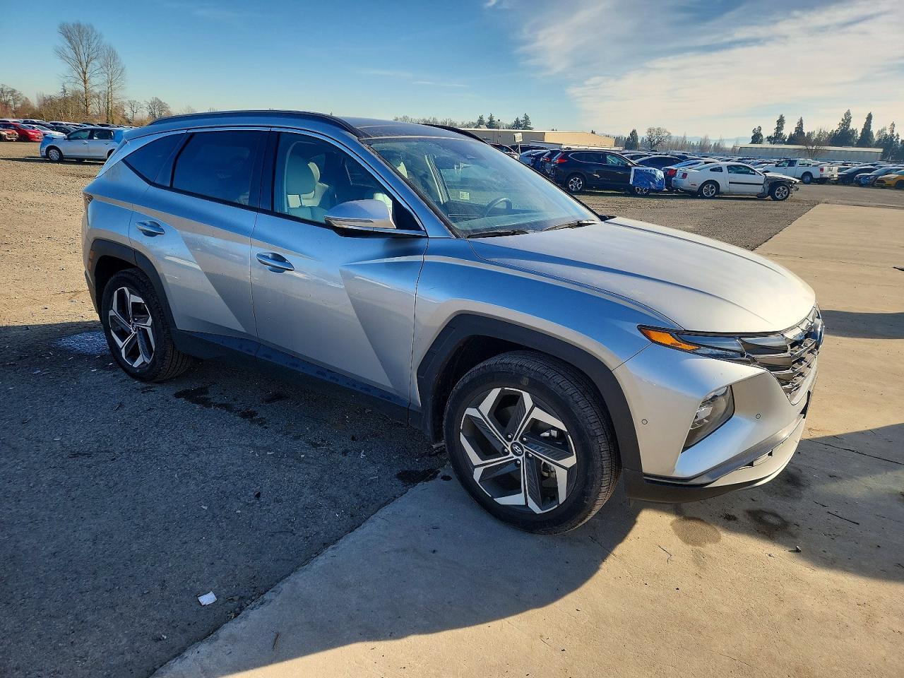 2024 HYUNDAI TUCSON LIMITED photo 4