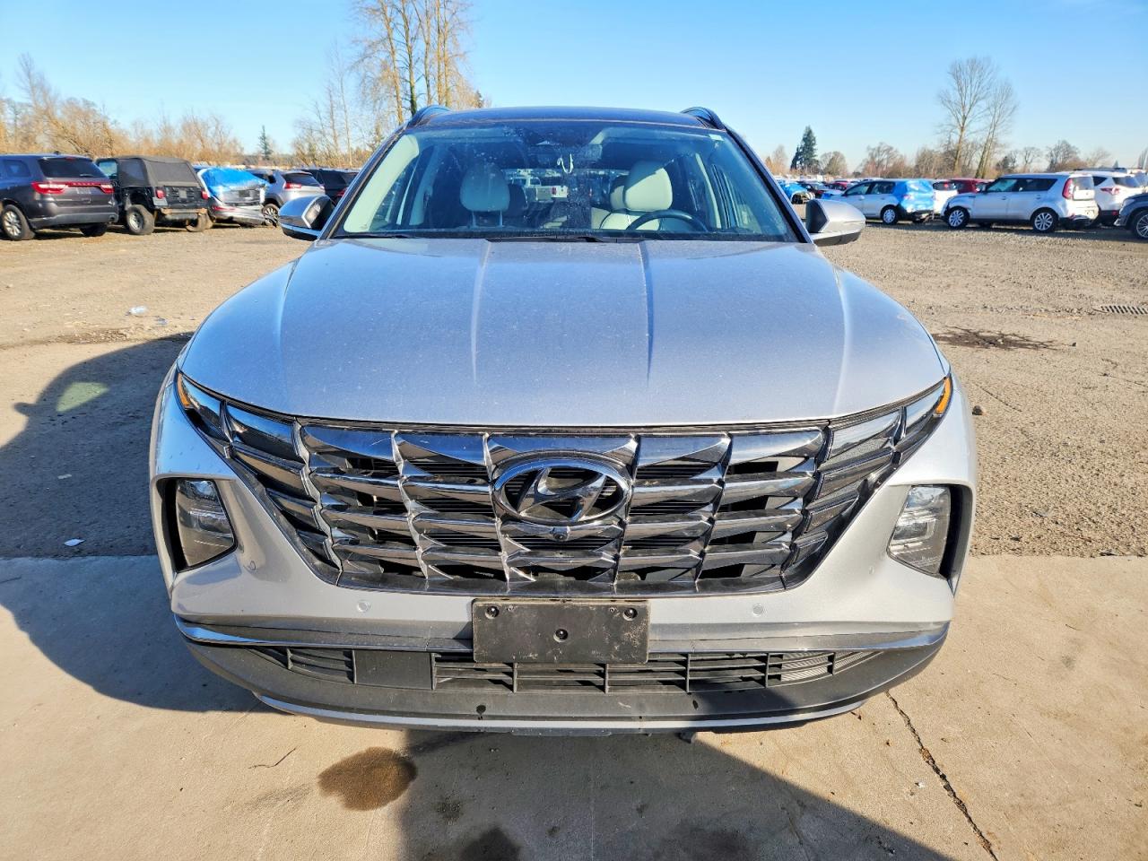 2024 HYUNDAI TUCSON LIMITED photo 5