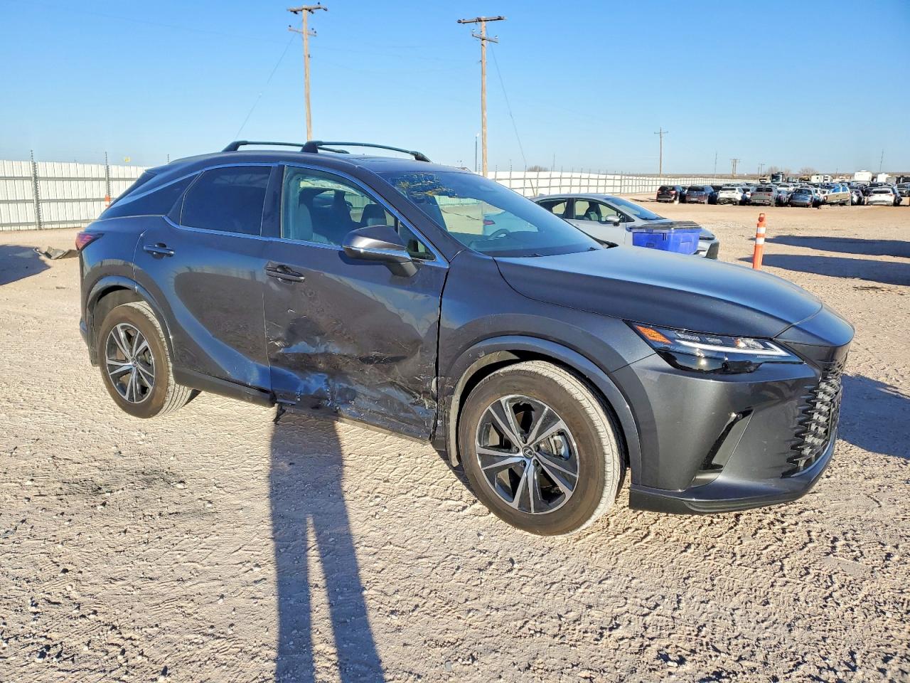 2025 LEXUS RX photo 4