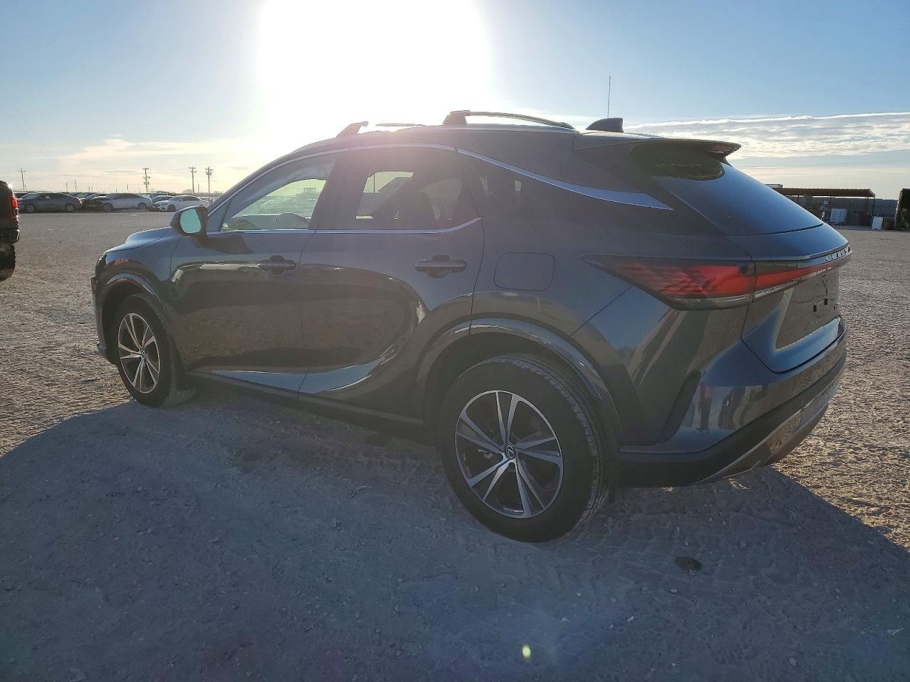 2025 LEXUS RX photo 2