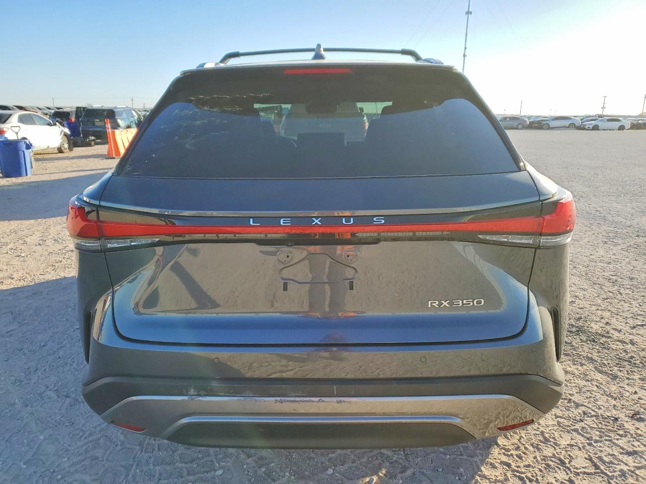 2025 LEXUS RX photo 6