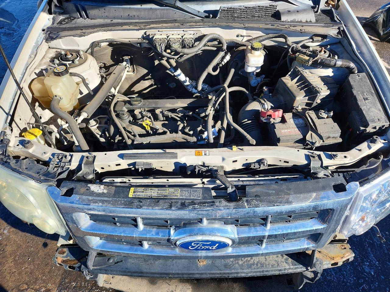 2010 FORD ESCAPE XLT photo 12