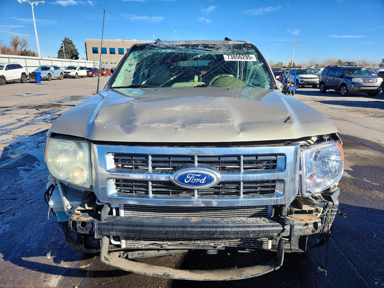 2010 FORD ESCAPE XLT photo 5