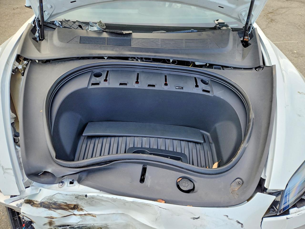 2024 TESLA MODEL 3 photo 11